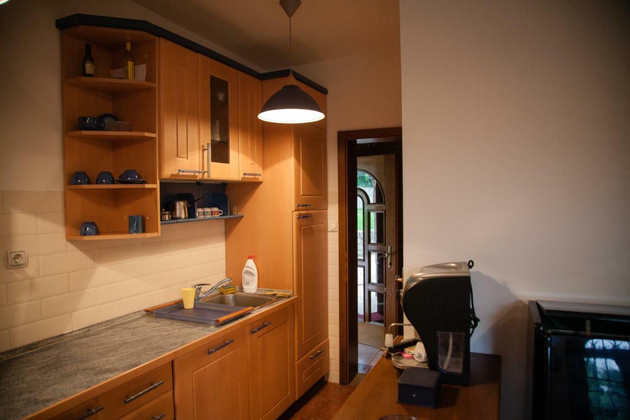Exclusive House Legacy Villa Smederevo Bagian luar foto